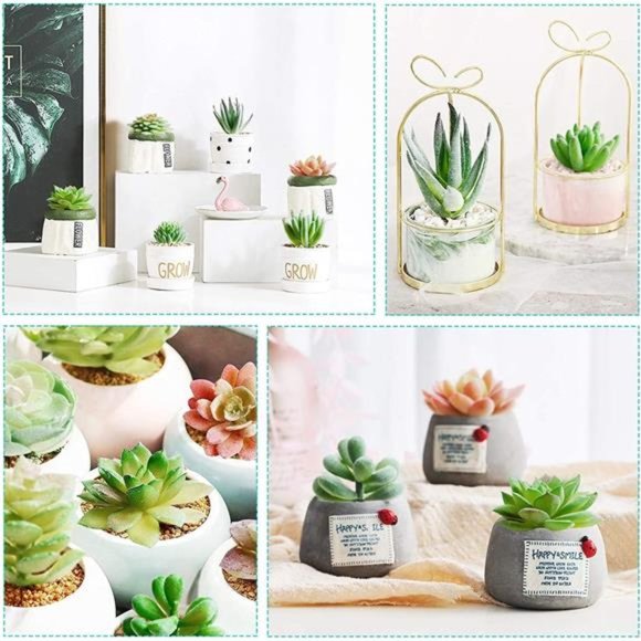 12 Pcs Artificial Succulents Mini Fake Plants Unpotted Faux Succulent for Craft - Picture 7 of 7